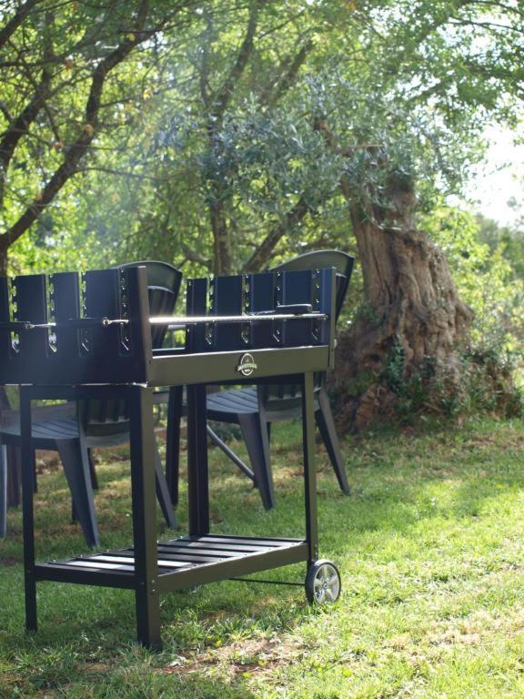 Mirasol Ii * Umag